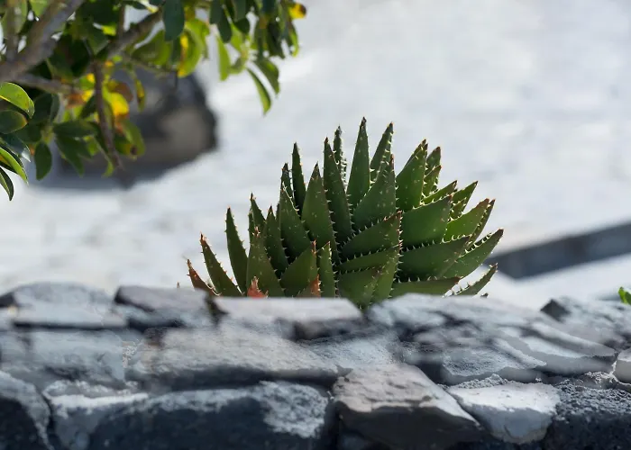 아파트 앵커 스위트 *